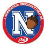 Team Klinikum Nürnberg e. V. Logo